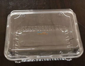 佛山吸塑包裝廠(chǎng) 東莞區(qū)域知名的吸塑包裝企業(yè)及其文化內(nèi)涵